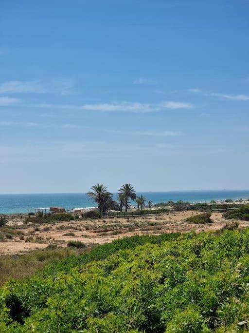 Marbella Sea View Apartament Arenales del Sol Eksteriør bilde